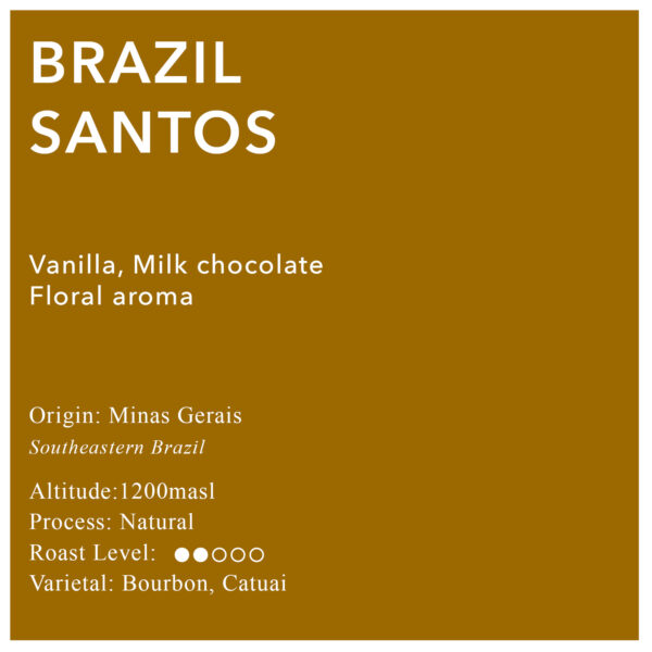 Brazil Santos