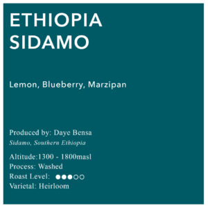 Ethiopia Sidamo