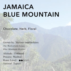Jamaica Blue Mountain