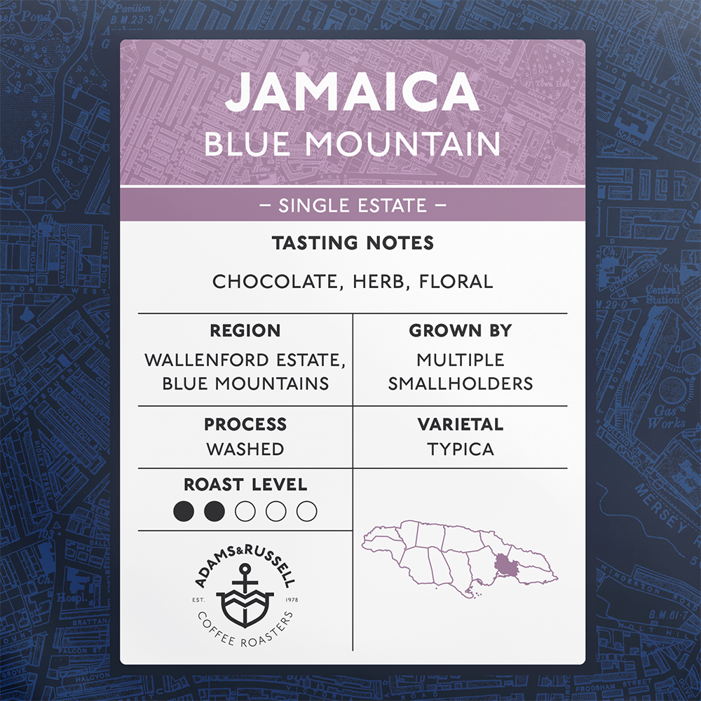 Jamaica Blue Mountain - Image 2