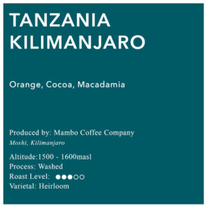 Tanzania Kilimanjaro AA
