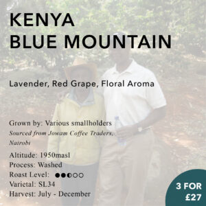 Kenya Blue Mountain Jungle Estate