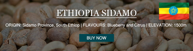 Ethiopia sidamo single origin coffee