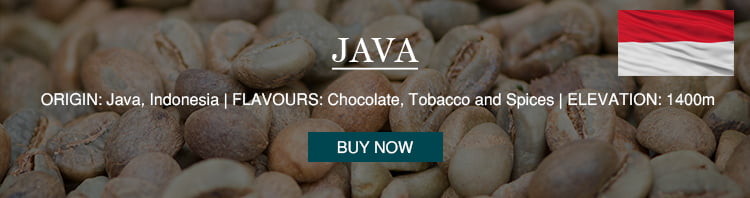 Java single origin coffee