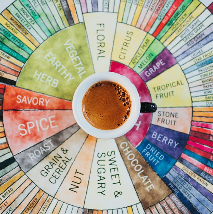 Coffee Flavour Wheel tips for using it and how to describe coffee