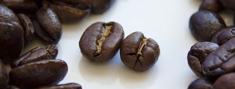 Arabica coffee beans