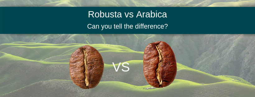 Arabica vs Robusta appearance