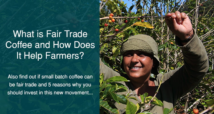 what is fair trade coffee