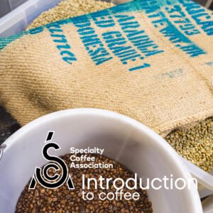 SCA Introduction to Coffee Course