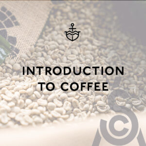 SCA Introduction to Coffee