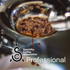 SCA Barista Professional