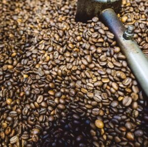 Exploring the Brazilian Coffee Industry