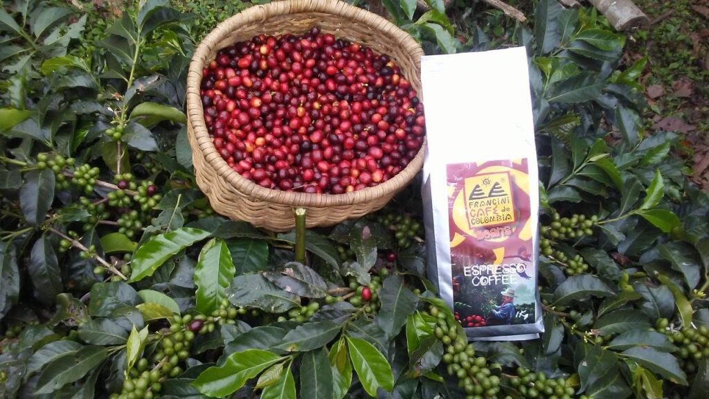 Francini Farm Coffee Beans