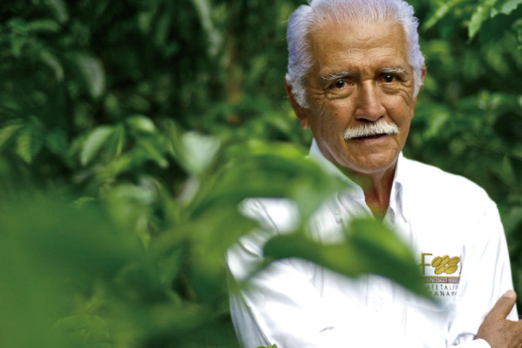 Don Pachi, Geisha Coffee Grower