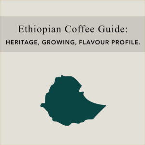 Ethiopian Coffee – Buying And Brewing Tips