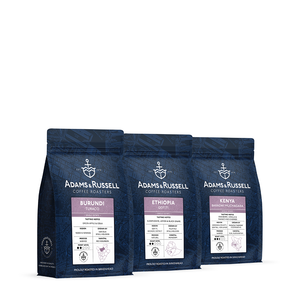 V60 Coffee Bundle