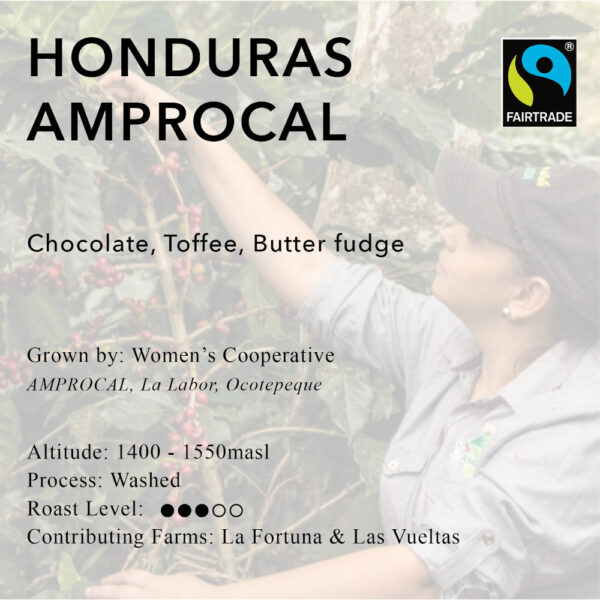 Fairtrade Honduras Women's Cooperative