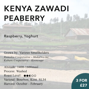 Kenya Zawadi Peaberry