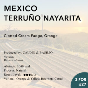 Mexico Terruño Nayarita