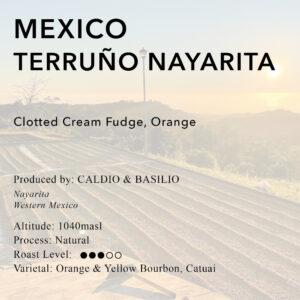 Mexico Terruño Nayarita