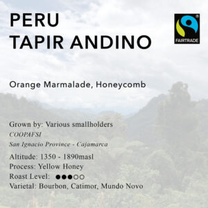 Peru Tapir Andino
