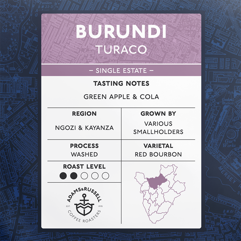 Burundi Turaco - Image 2