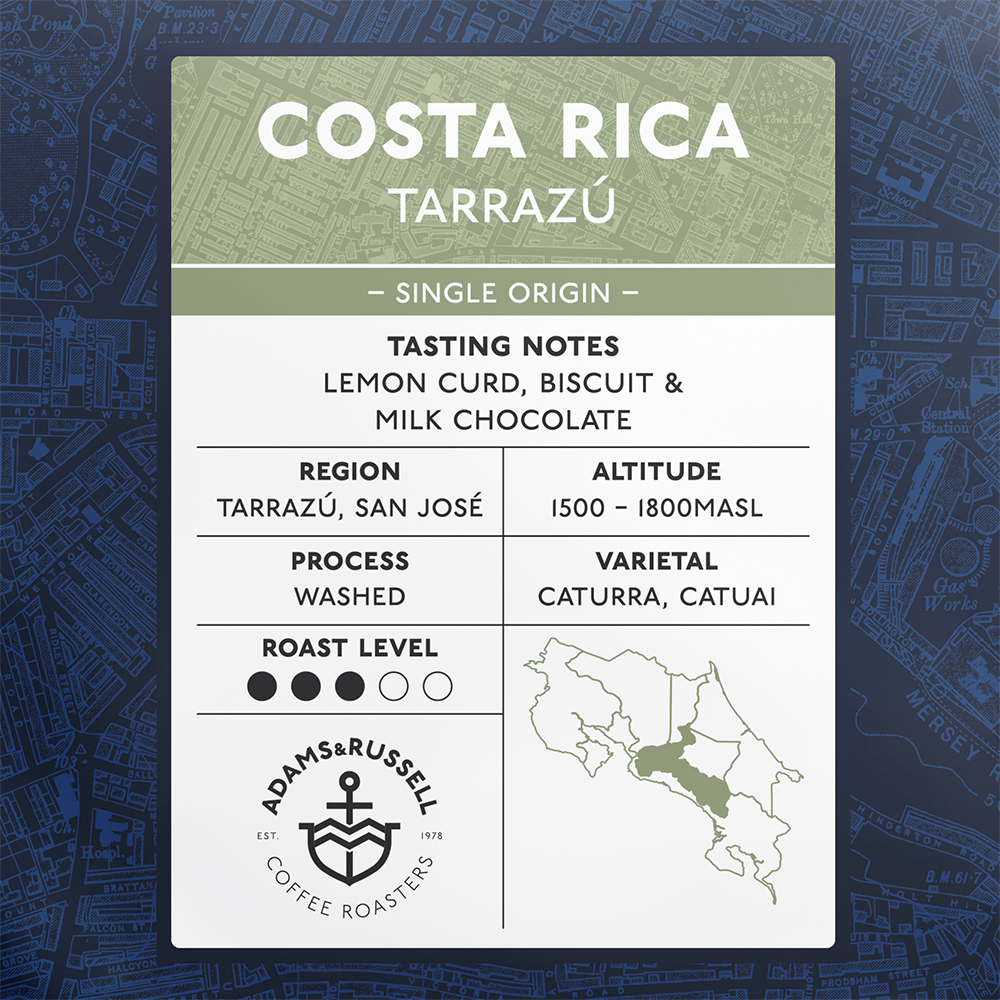 Costa Rica Tarrazú - Image 2