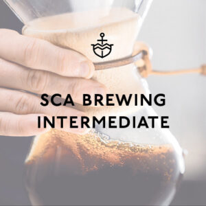 SCA Brewing Skills Intermediate