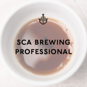 SCA Brewing Skills Professional