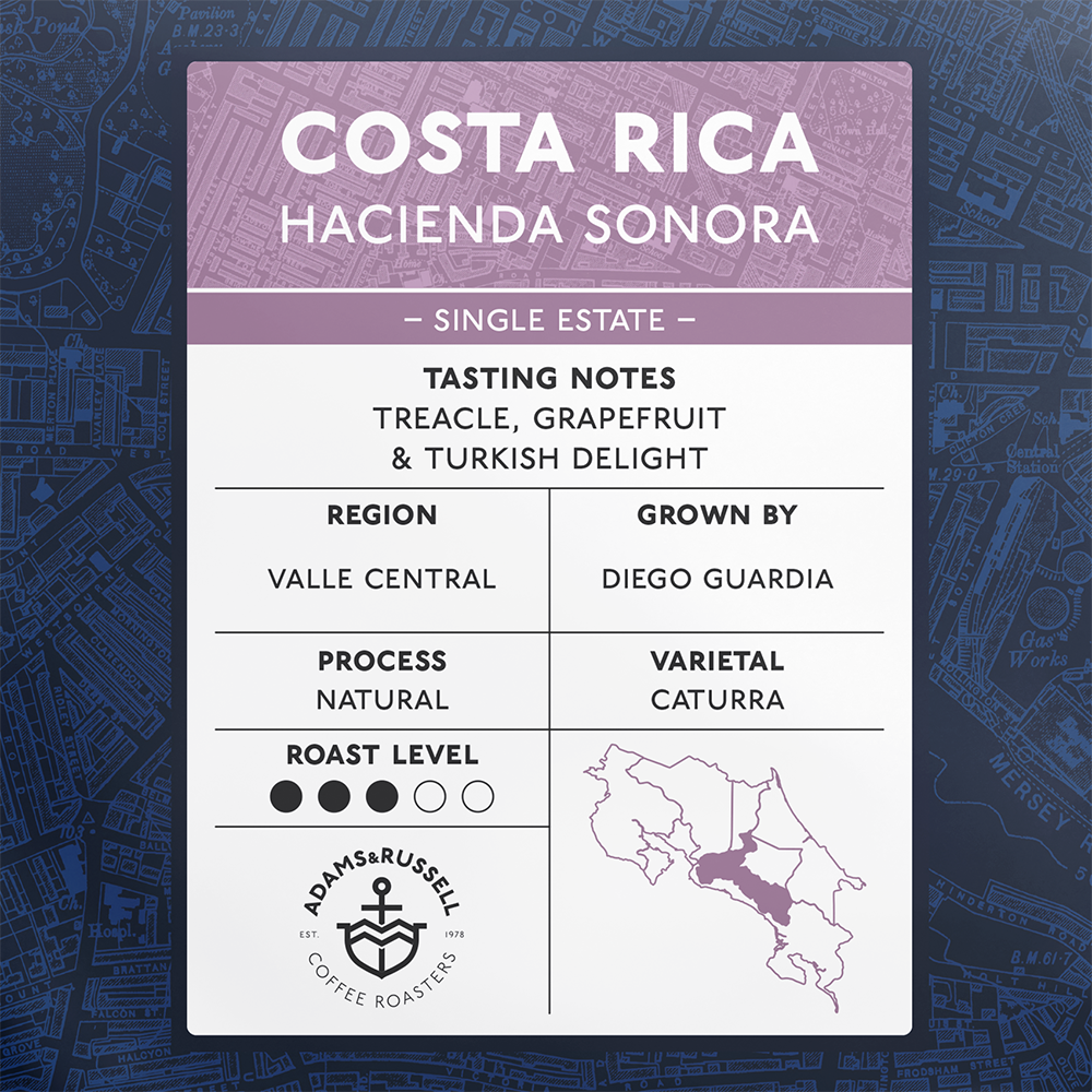 Costa Rica Hacienda Sonora - Image 2