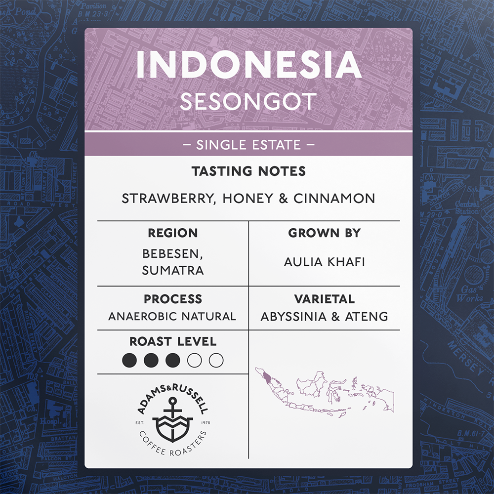 Indonesia Sesongot - Image 2