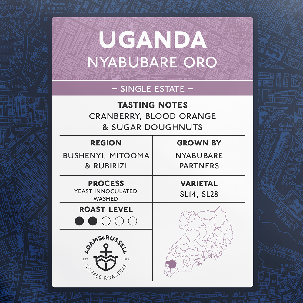 Uganda Nyabubare Oro - Image 2