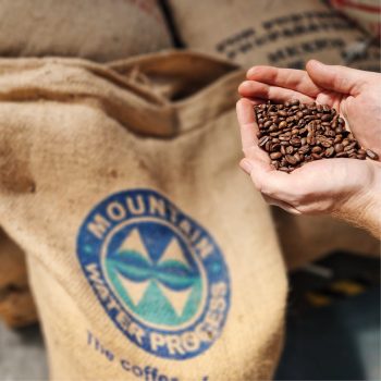 Mexican Decaffeinated Coffee Beans in Hand